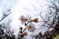 公園～