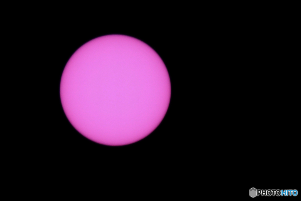 パープル太陽