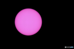 パープル太陽