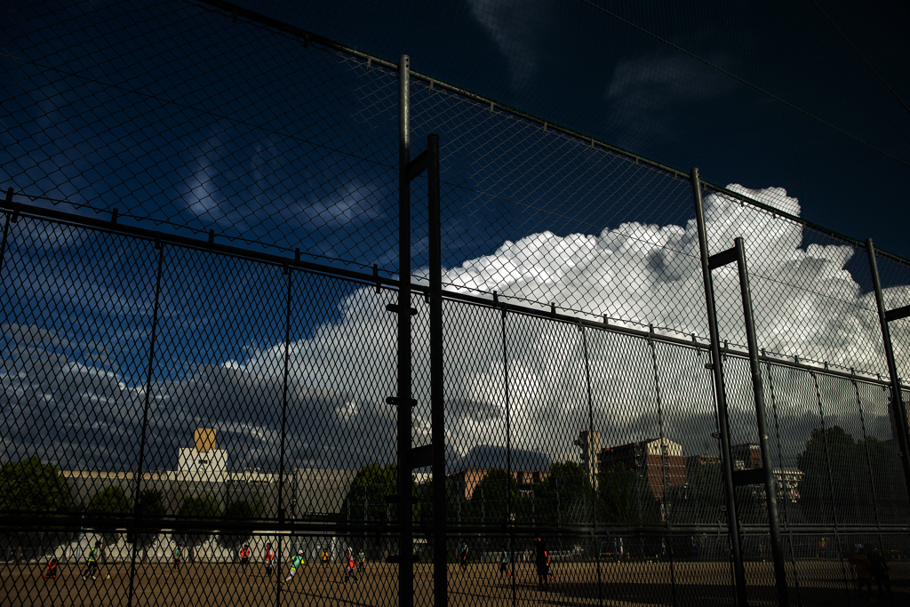 夏～ネットフェンス