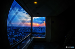Window～