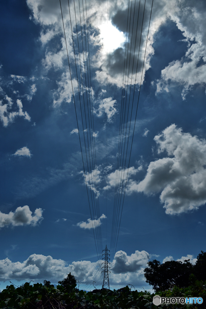 電線