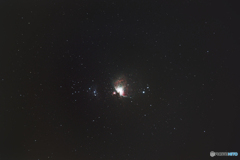 M42