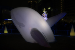 OSAKAイルミb
