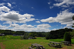 兵庫県　西山牧場