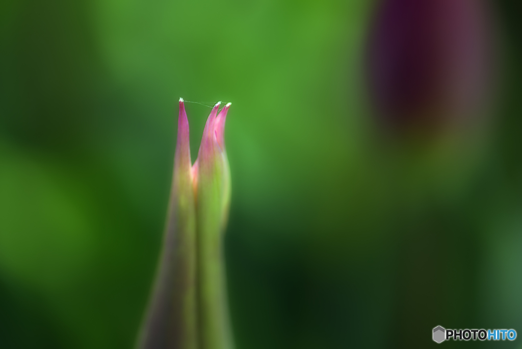 needle and thread