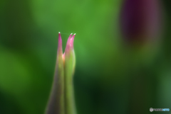 needle and thread