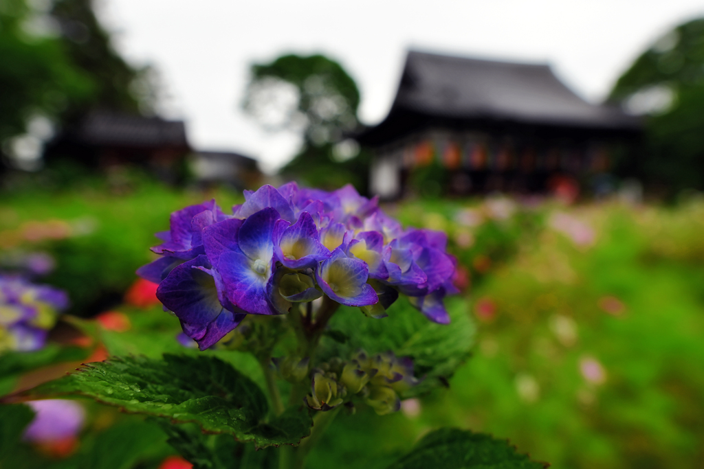 般若寺..