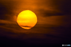  yellow sun