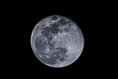月齢15.6 