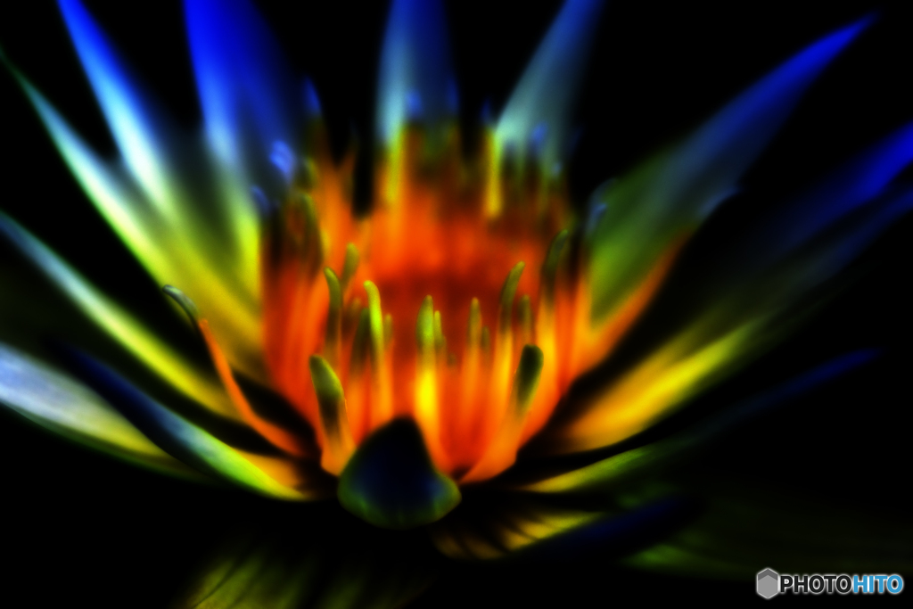 グラデーション