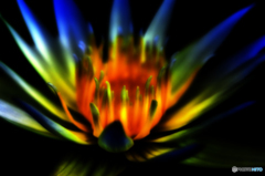 グラデーション