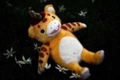 コケて