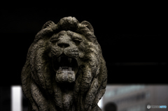 難波橋のライオン