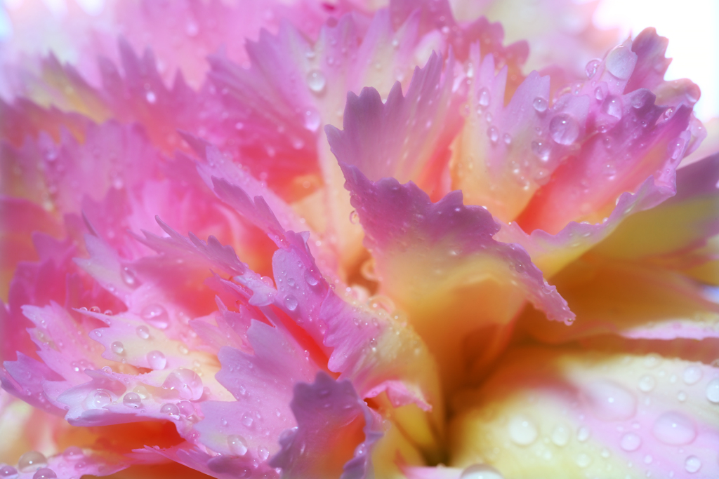 pastel colors