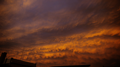 今日の変雲