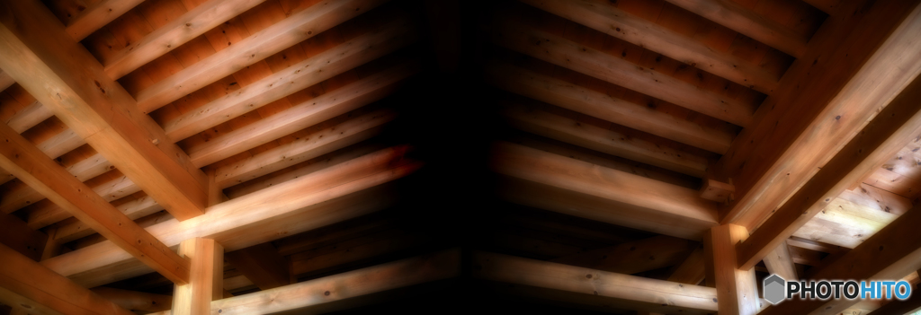 DSC_X