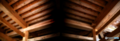 DSC_X
