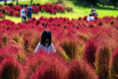 馬見丘陵公園で