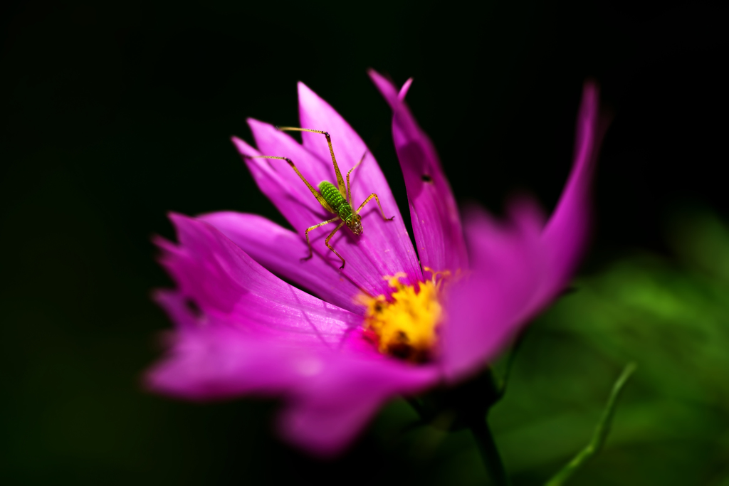 ・・