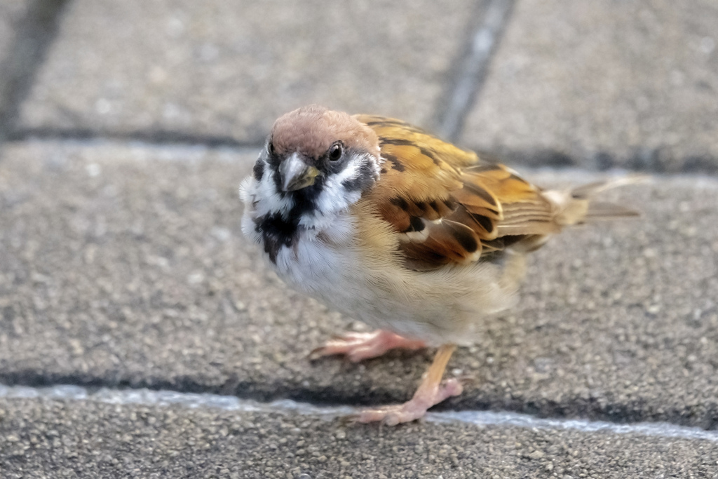 何