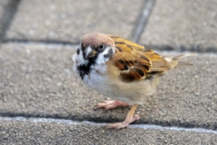 何