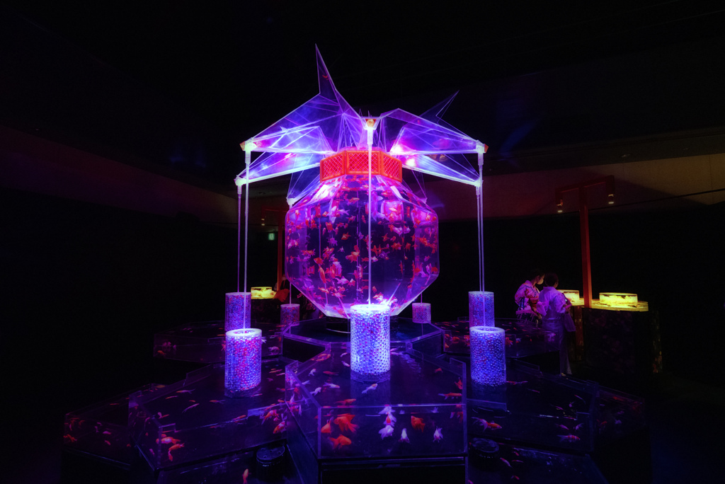 アートアクアリウム展b