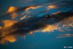 ready for landing