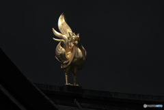 鵬