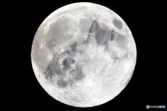 Moon