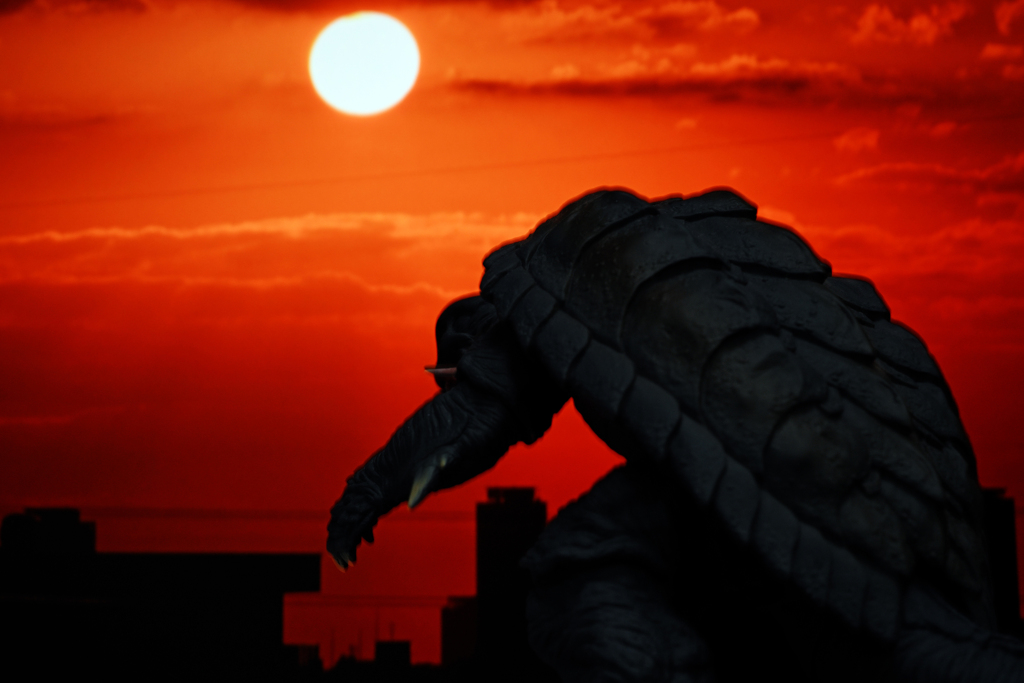 夕陽--