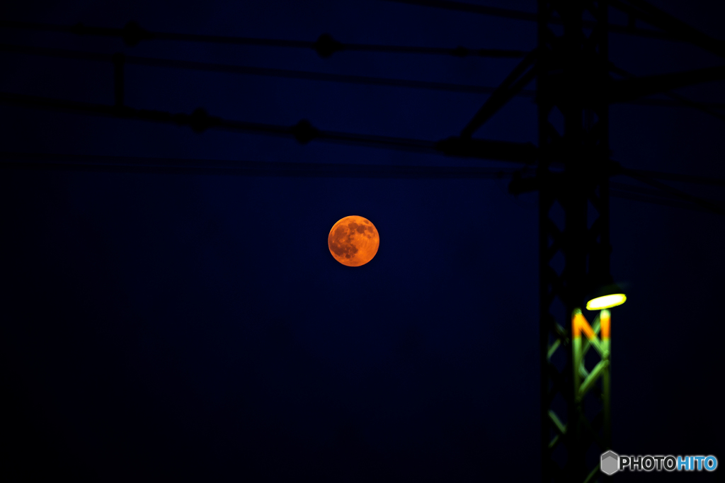 赤いブルームーン