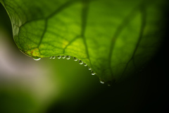 雨上がり³