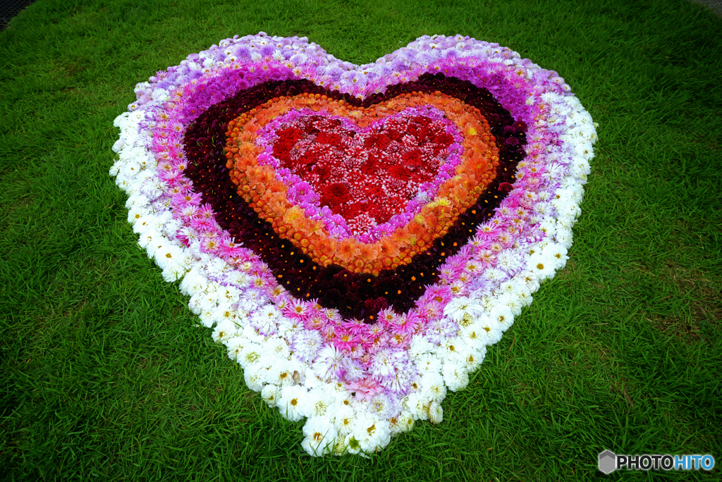 ♡