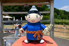 くろまろくん