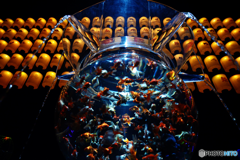 金魚鉢