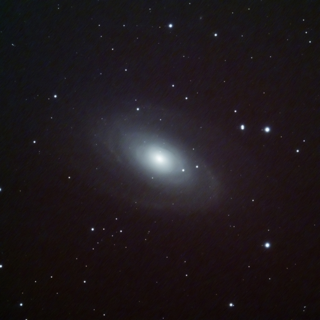  M81