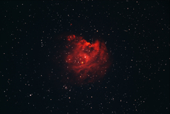 モンキー星雲.