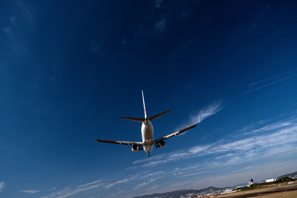 豊中つばさ公園a