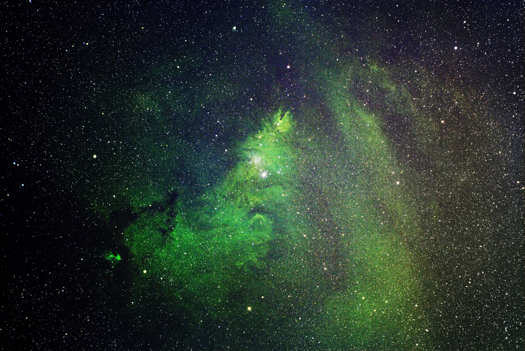 クリスマスツリー星団