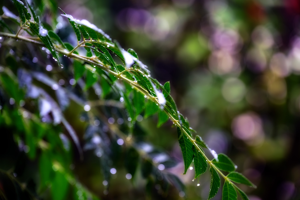 雨ⅰ