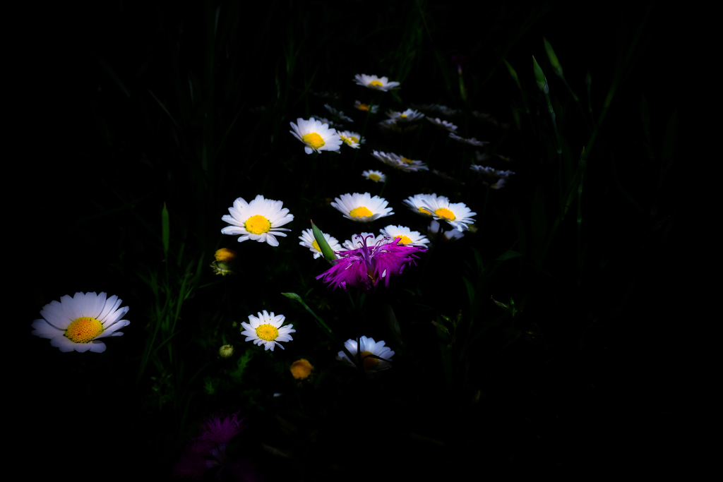 日中シンクロ　Ⅱ