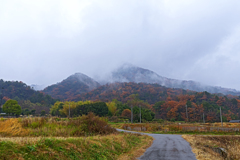 雨模様。