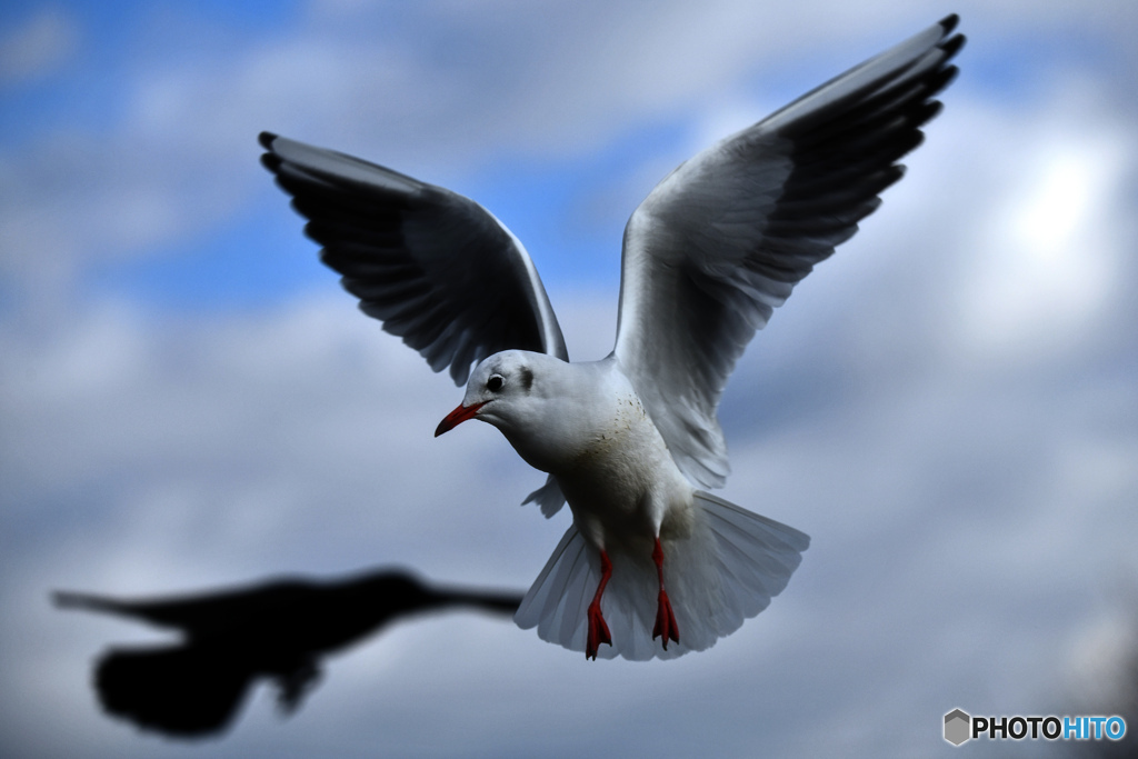 hovering