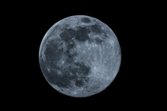 月齢14.6