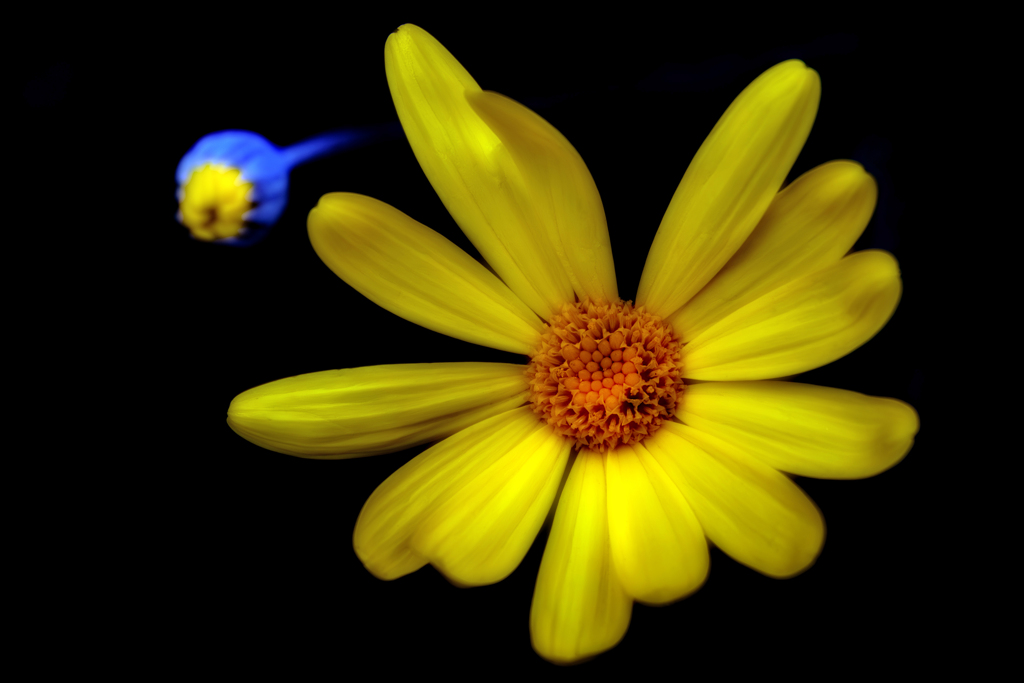 ❁