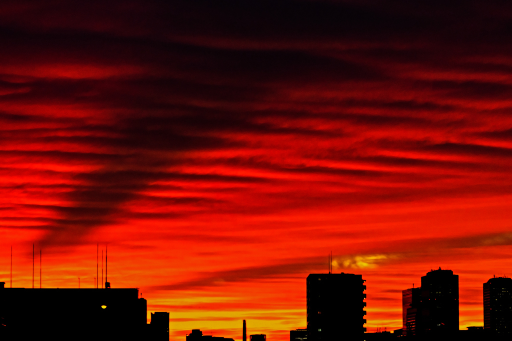 bright red　（夕焼け）