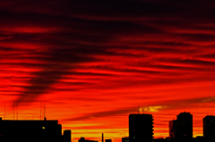 bright red　（夕焼け）