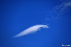 雲ロゴ