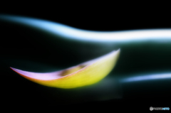 ゆっくりと・・